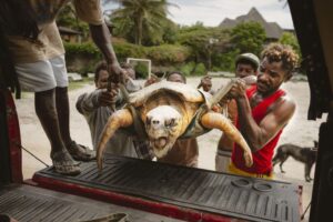 Centre de conservation des tortues