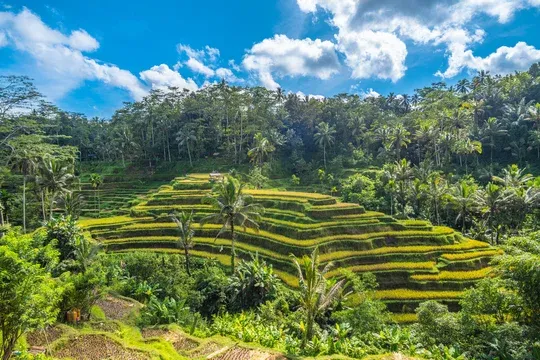 Bali en villa avec piscine privée